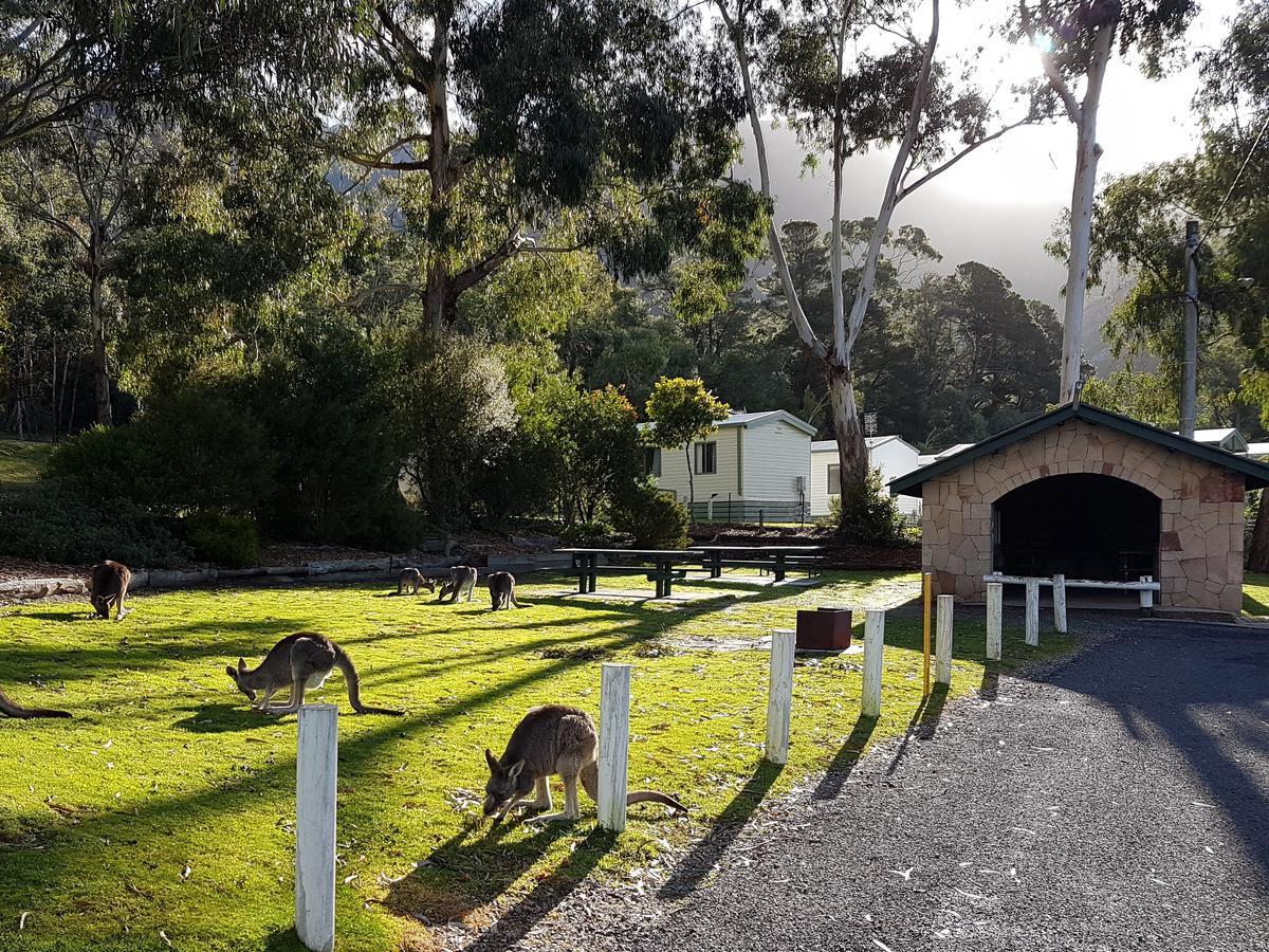 Breeze Holiday Parks - Halls Gap Ngoại thất bức ảnh