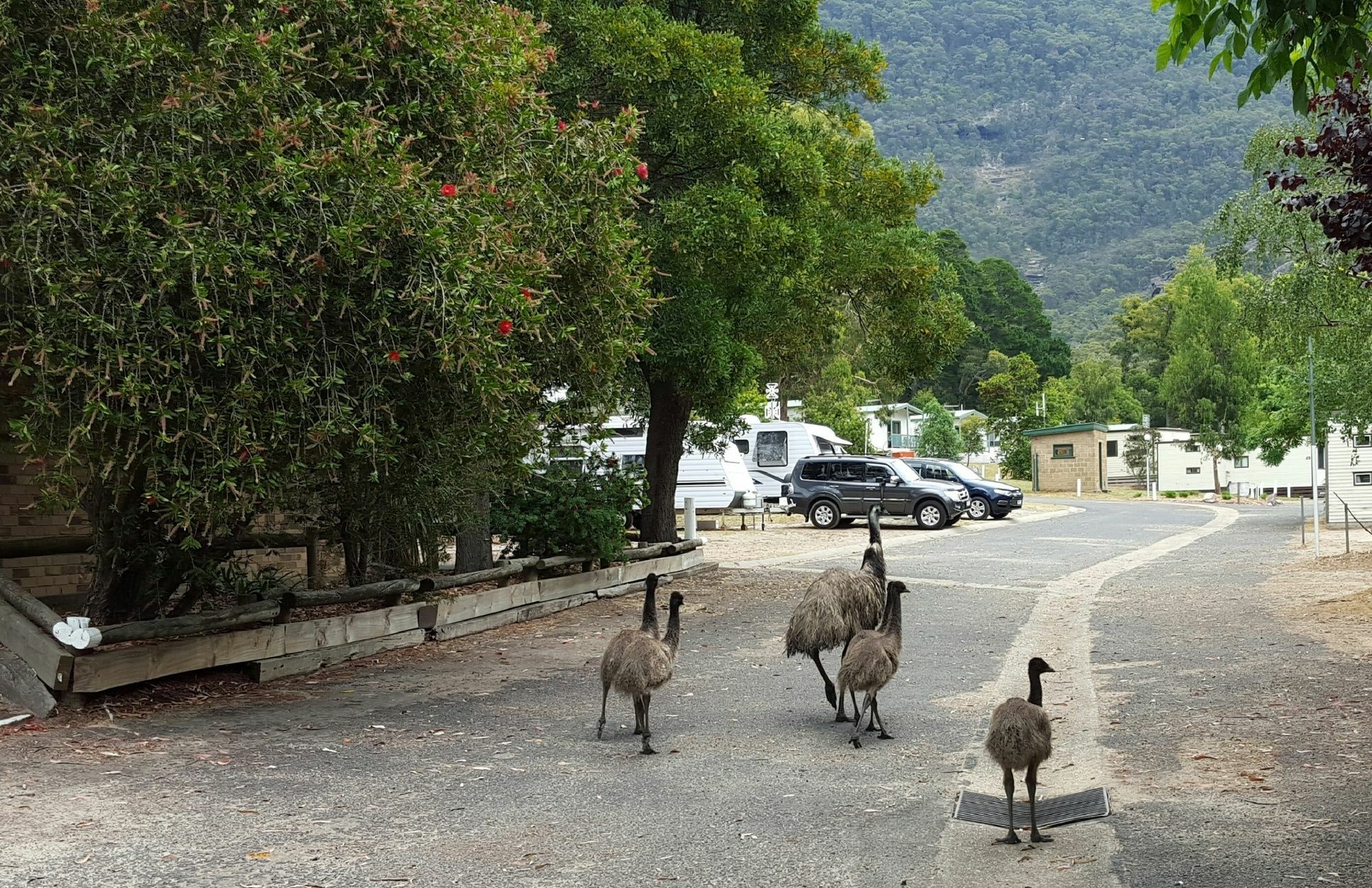 Breeze Holiday Parks - Halls Gap Ngoại thất bức ảnh